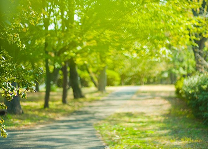 CASA LABOのエコハウス