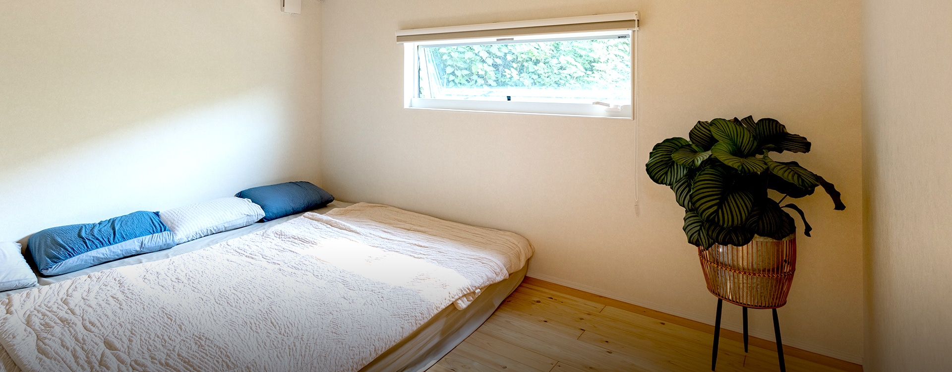 メインビジュアル01